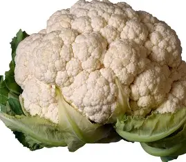 bloemkool