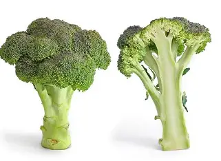 broccoli