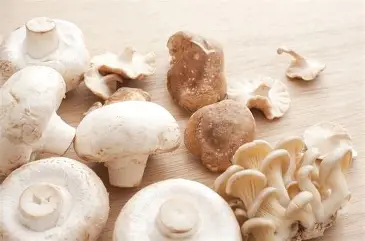 paddestoelen