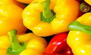 paprika