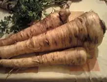 pastinaak