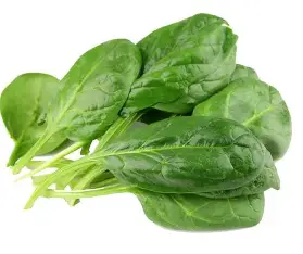spinazie